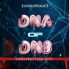 Loopoholics - Dna of DnB: Construction Kits