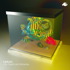 CARLEO - "Life, Death And Miracles" (Original Mix)