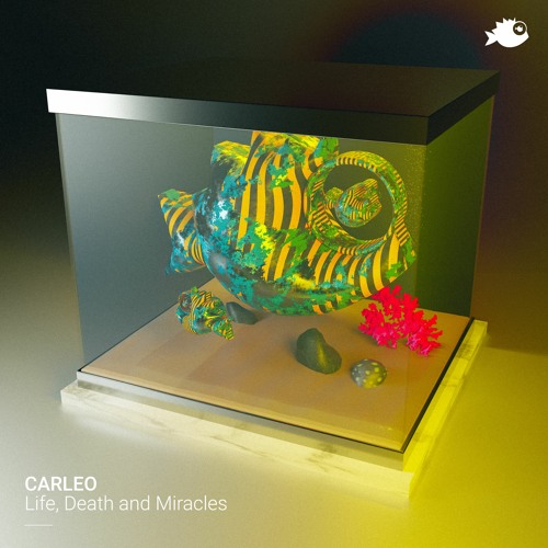 CARLEO - "Stay In Your Frequency" (Original Mix)