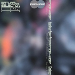 CV Premiere I Kamikaze Space Programme - Ashes To Ashes
