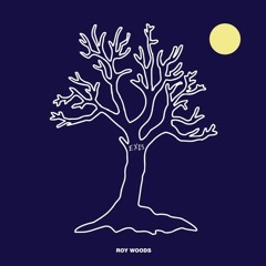Roy Woods - Get You Good (Slowed & Reverbed)