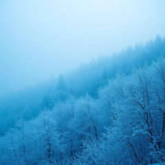 reference - Blue Winter [DIRECT DL]