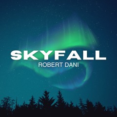 Robert Dani - Skyfall (Original Mix)