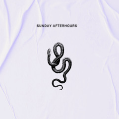 SUNDAY AFTERHOURS (progeressive house) 4