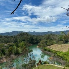 In The Paradise