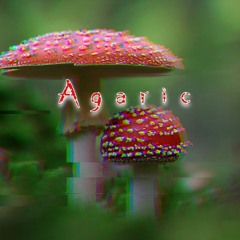 Agaric