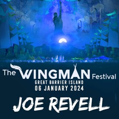Wingman 2024 set