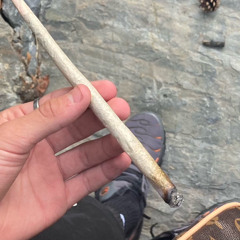 RICO&FREEZ - Nepodceňuj nás