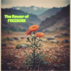 LA CANZONE DELLA LIBERTA'