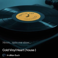 cold vinyl heart (house).