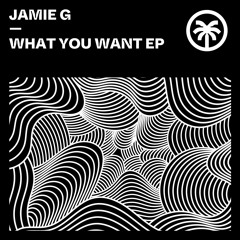 HXT120: Jamie G - 'What You Want' EP