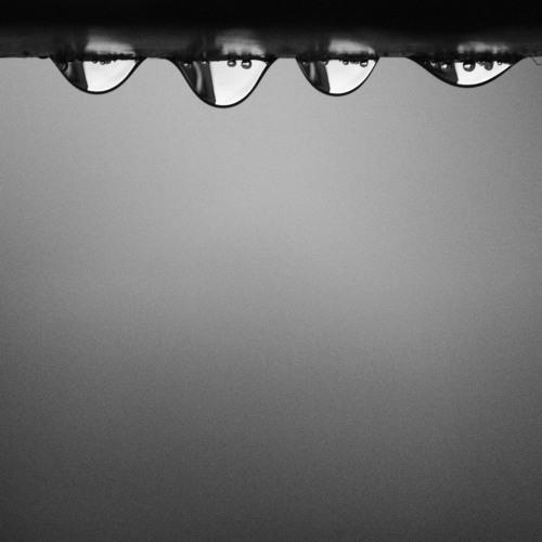 Tiny Celestial Melody