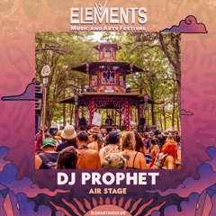 DJ Prophet @ Elements Music & Arts Festival 2023