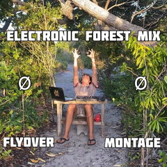 Electronic forest mix | Flyover montage