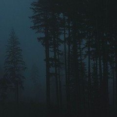 the soft feel of the night