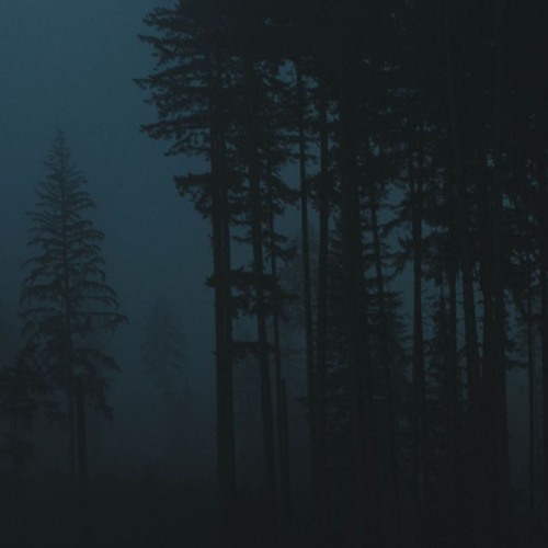 the soft feel of the night