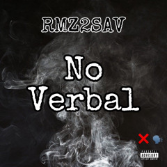 RMZ2SAV | No Verbal