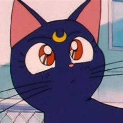 starflower/b4066 sunlight zone