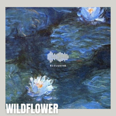 Billie Eilish - WILDFLOWER (ELCLUSIVE REMIX) REMAKE