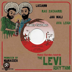 Levi Riddim Mixed By