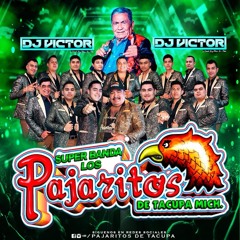 🔥Los Pajaritos De Tacupa Michoacan 🦜Mix DJ Victor 2025