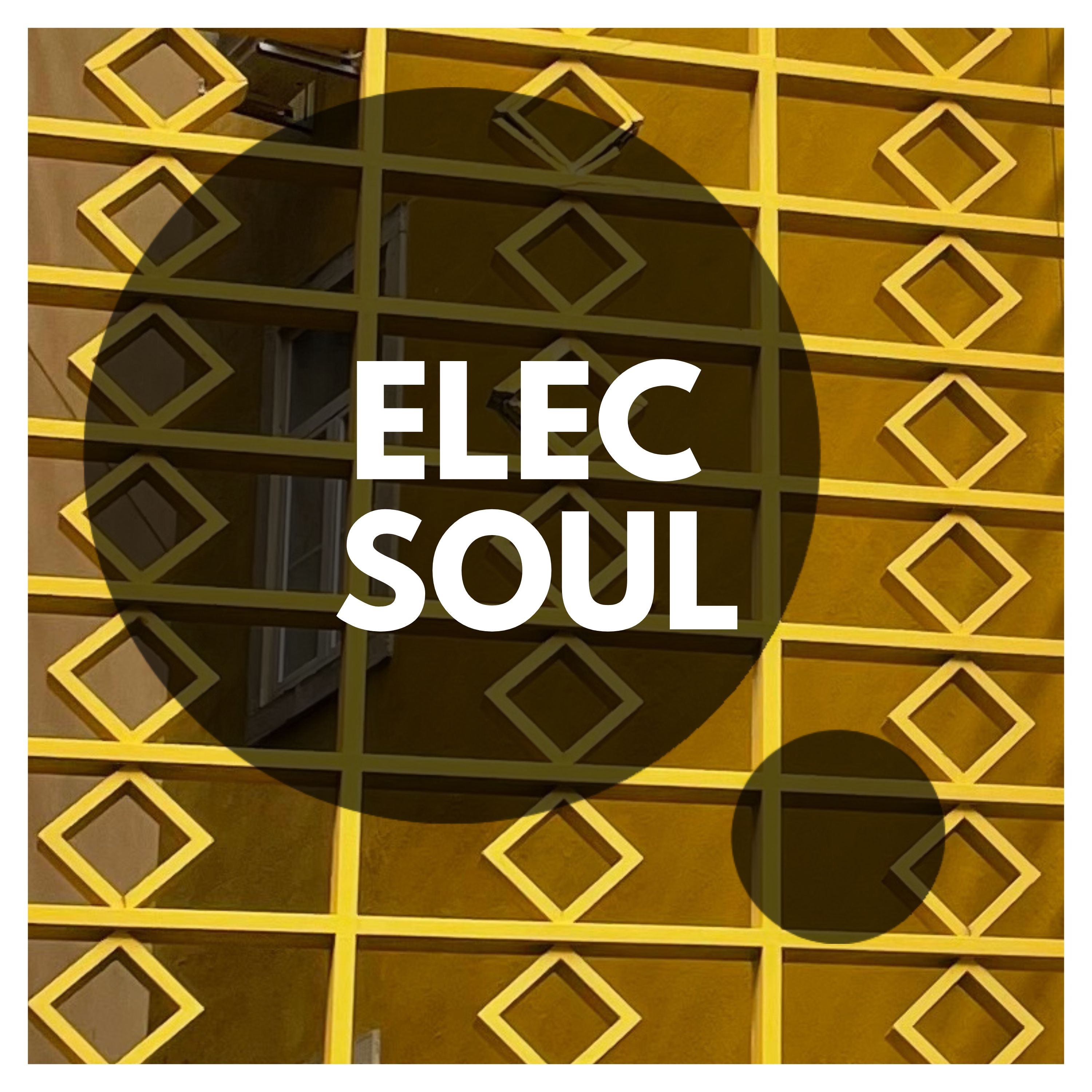 ElecSoul