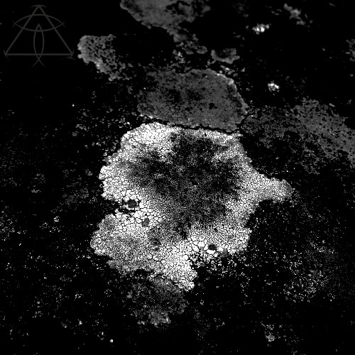 Hugo Mesi - Minimal Things Maximal Thoughts (Niklass Remix)