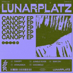 PW PREMIERE | Lunarplatz - Jungle Fever [self-release]