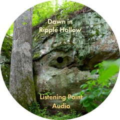 Listening Point Audio - Dawn in Ripple Hollow