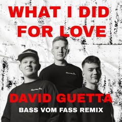 David Guetta - What I Did For Love (Bass vom Fass Remix)
