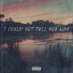 I Could Not Tell You Why