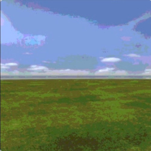 in this dreamland we call home