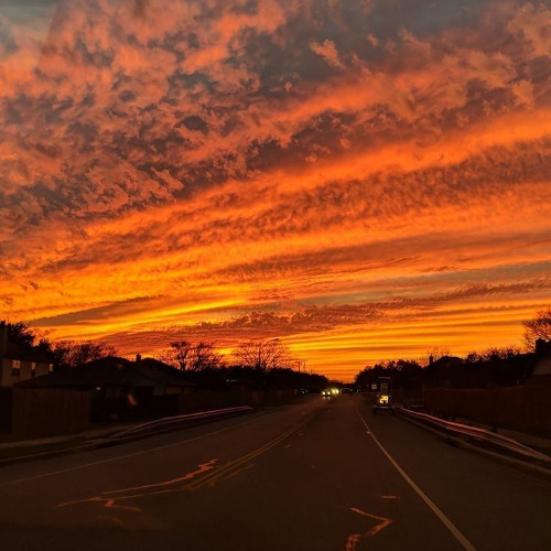 Summer Vibes Tekknologie