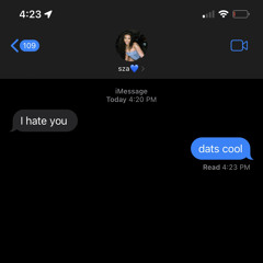 I hate u remix