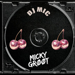 MEGAMIX DISCO HOUSE DJ MIC Micky Groot