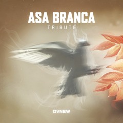 Luiz Gonzaga - Asa Branca (Ovnew Tribute - Progressive Trance)