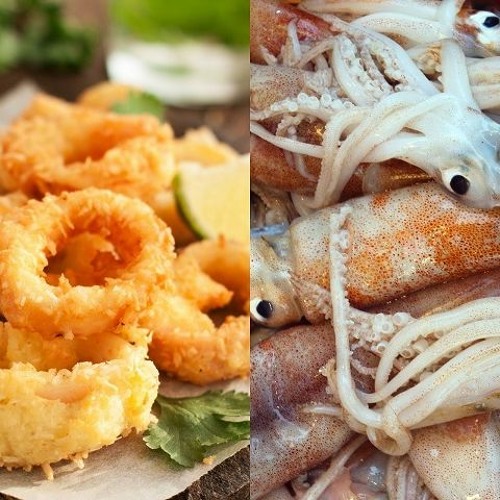 Calamari: Exploring the Delicious World of Fried Squid