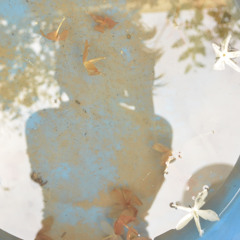 Dale de comer al sol