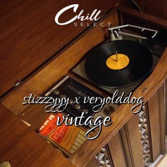 Stizzzyyy x veryolddog - Vintage