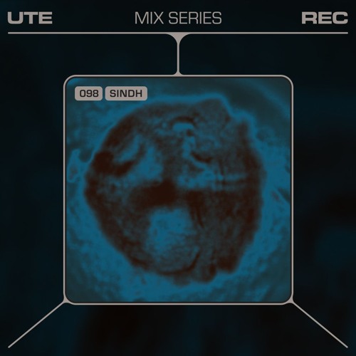Ute Mix Series #98 | Sindh