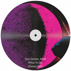 Guy Gerber, &ME - What To Do (Panna Edit) Played by Vintage Culture