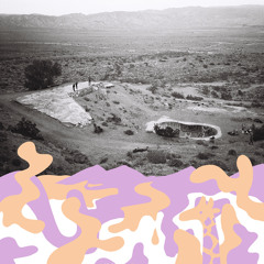 Lavender Days