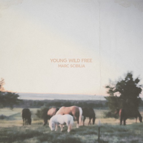 Young Wild Free