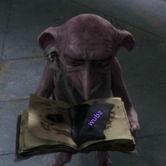 master has given dobby some wubs