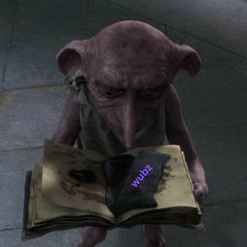 master has given dobby some wubs