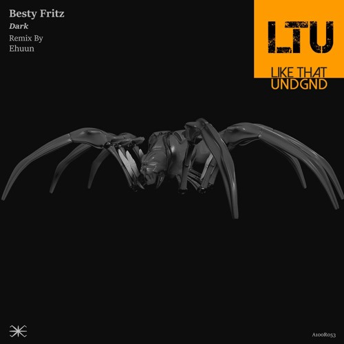 Premiere: Besty Fritz - Who Know (Original Mix) | A100 Records