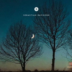 Voyage of Discovery 299