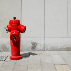 20210528 Natternkopf - Feuerwehr Reichraming Celine - Würzige Wortwechsel 48