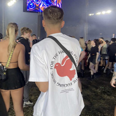 Alex Lewis - Pavilion Festival Mix