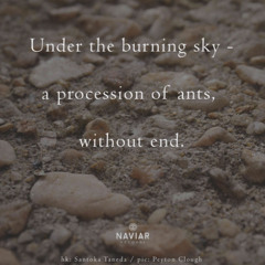 Endless - (naviarhaiku - 622)